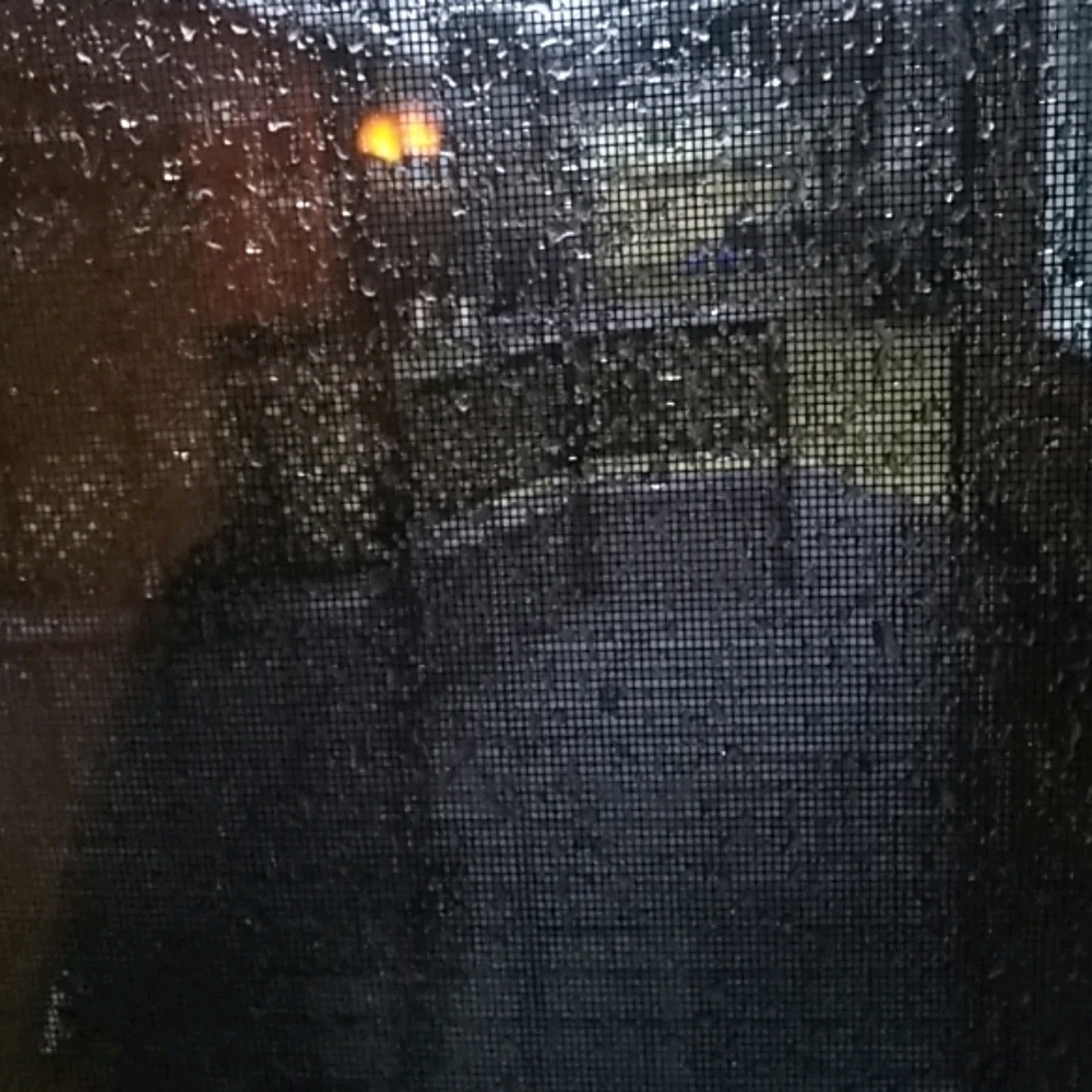 Meet your Posher, Dejuan